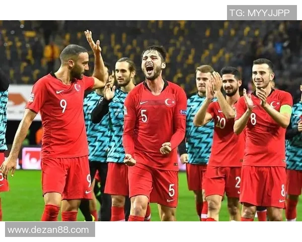 格鲁吉亚与威尔斯比赛前瞻分析及胜负预测详解